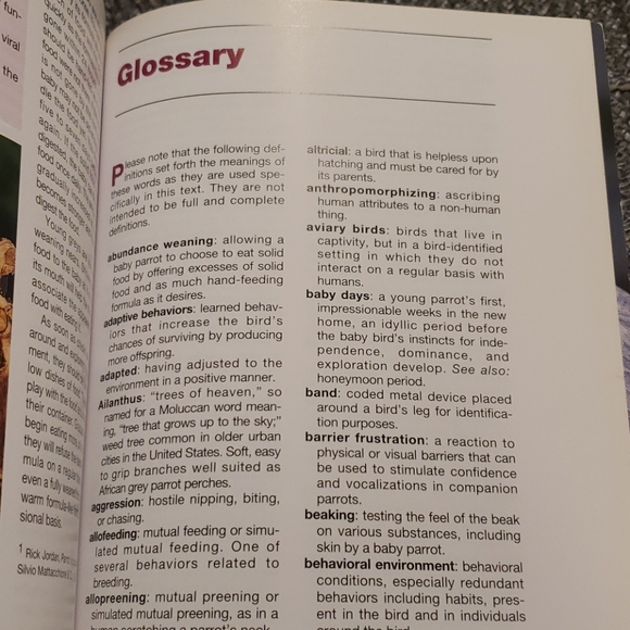 Book - The African Grey Parrot Handbook - Picture 5 of 6